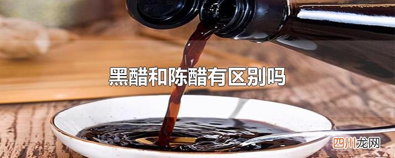黑醋和陈醋有区别吗