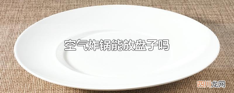 空气炸锅能放盘子吗