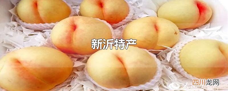 新沂特产