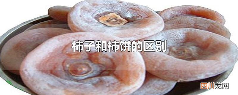 柿子和柿饼的区别