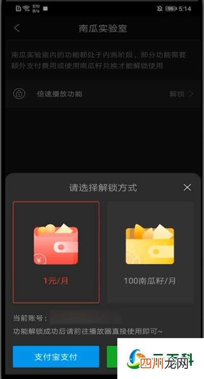 南瓜电影怎么倍速播放 南瓜电影怎么加速播放