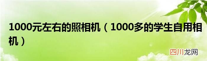 1000多的学生自用相机 1000元左右的照相机