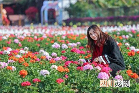 三月出门踏青发朋友圈的说说，表示出去游玩时的心情句子
