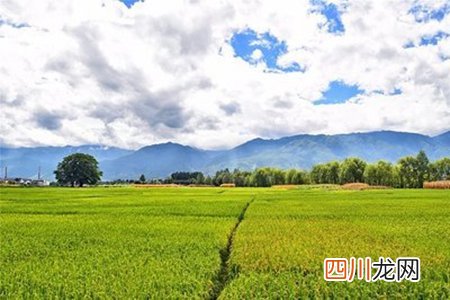 表示心情非常好的说说文案，保持开心情绪做快乐的自己