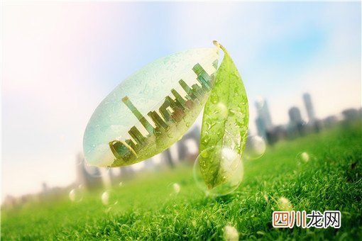 碳标签有哪些分类？主要分为这三大类！