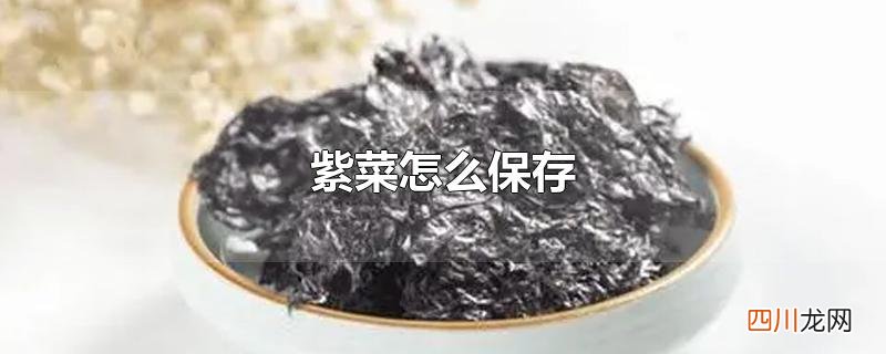 紫菜怎么保存