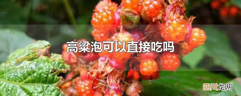 高粱泡可以直接吃吗