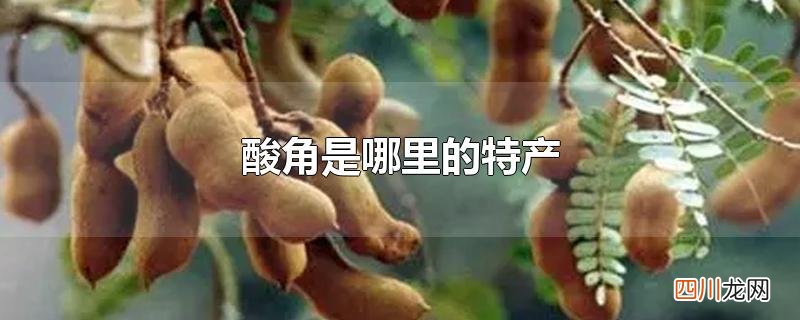 酸角是哪里的特产