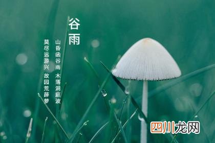 谷雨节气的到来意味着什么？谷雨禁忌有哪些？