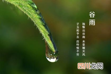 谷雨忌讳什么？2022年谷雨是好日子吗？
