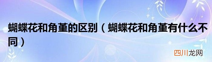 蝴蝶花和角堇有什么不同 蝴蝶花和角堇的区别