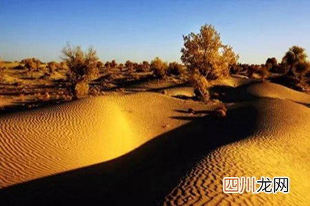 形容大漠壮观景色的句子，对于沙漠风景的赞美