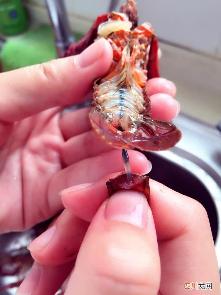 小龙虾你想怎么吃？九种最详细的家常做法分享给你 小龙虾的做法大全家常做法
