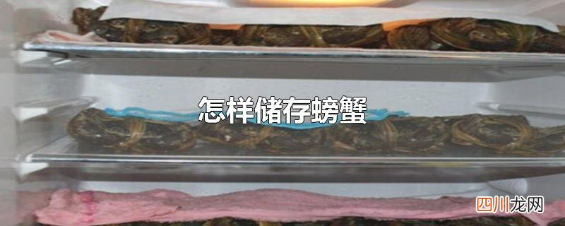 怎样储存螃蟹