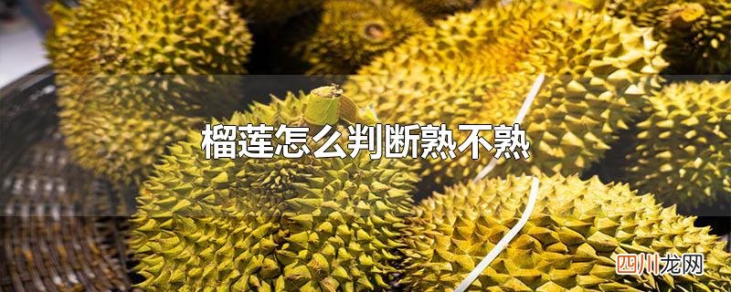 榴莲怎么判断熟不熟