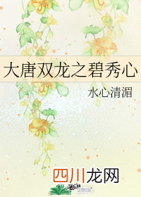 《大唐双龙之碧秀心》，大唐双龙传同人，穿越碧秀心，cp石之轩