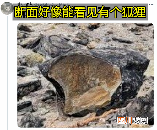日本国宝级石头杀生石突然裂开：九尾妖狐要跑出来了？