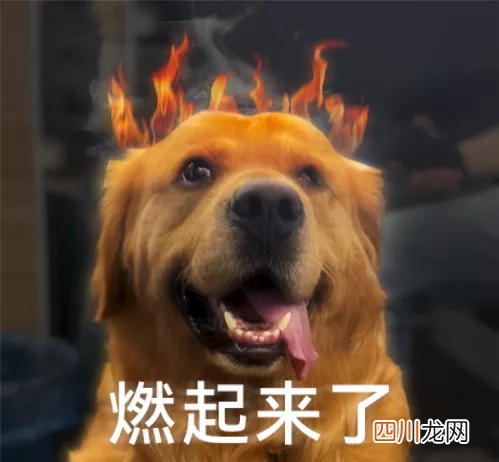 拳打英伟达脚踢三星的黑客 又准备开始搞事了