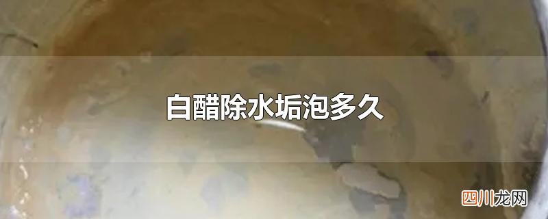 白醋除水垢泡多久