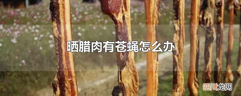 晒腊肉有苍蝇怎么办