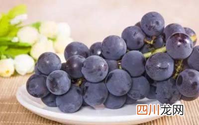 巨峰葡萄是什么葡萄 巨峰系列葡萄品种