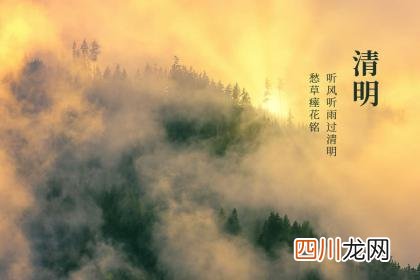 清明节扫墓有什么忌讳 清明扫墓家人可以各自扫墓吗