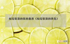 惊涛骇浪的拼音 惊涛骇浪的骇的意思