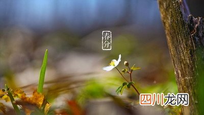 去年春分是几月几号 春分在几月几号左右