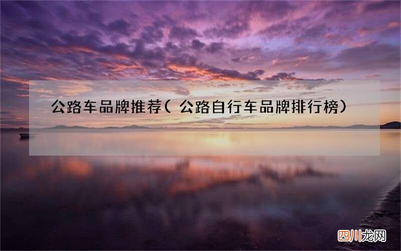 公路自行车品牌排行榜 公路车品牌推荐