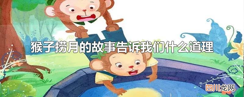 猴子捞月的故事告诉我们什么道理