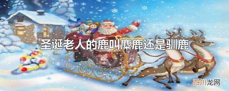 圣诞老人的鹿叫麋鹿还是驯鹿