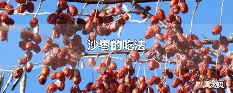 沙枣的吃法