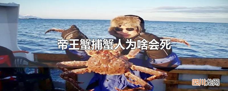 帝王蟹捕蟹人为啥会死