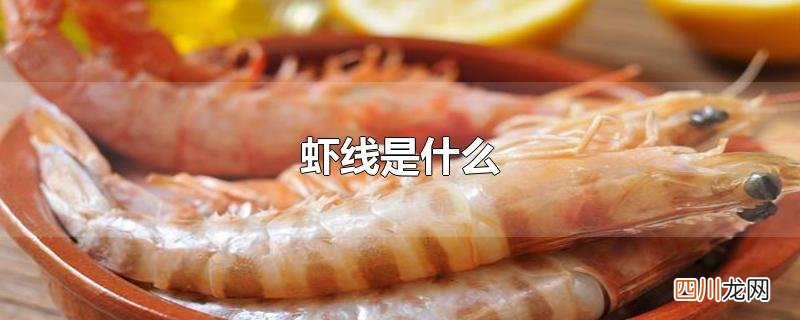 虾线是什么