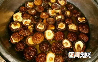 怎么泡发香菇比较快