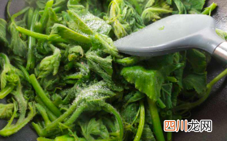 吃什么菜刮油脂还能通便减肥