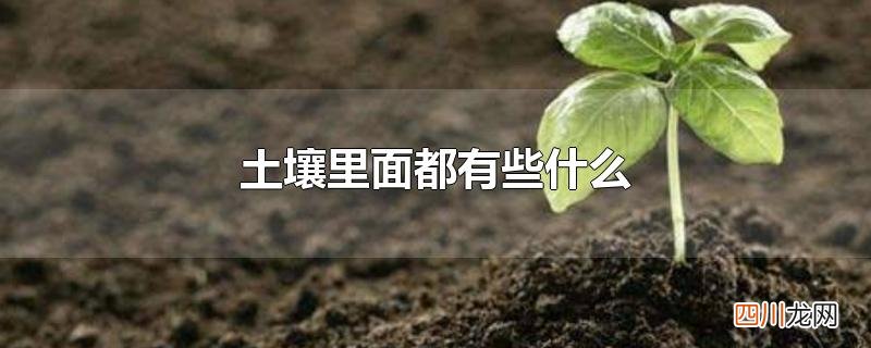 土壤里面都有些什么图片 土壤里面都有些什么