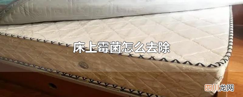 床上霉菌怎么去除