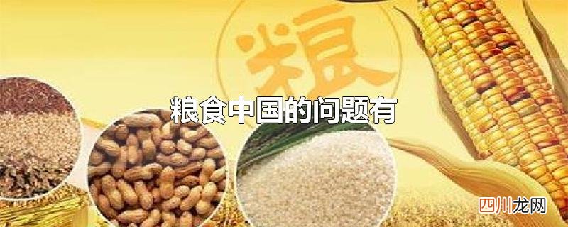 关于中国粮食的问题 粮食中国的问题有