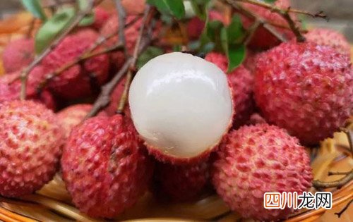 桂味荔枝产地是哪里，荔枝品种有哪些