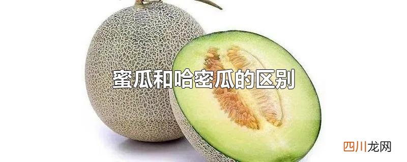 蜜瓜和哈密瓜的区别