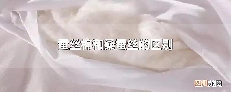 蚕丝棉和桑蚕丝的区别