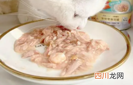 猫一点盐都不能吃吗