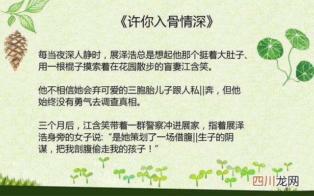 推荐小说男主失去女主，孤独终老！ 第49章大结局余生不再爱你
