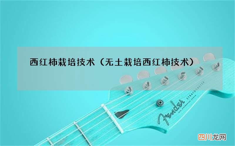无土栽培西红柿技术 西红柿栽培技术