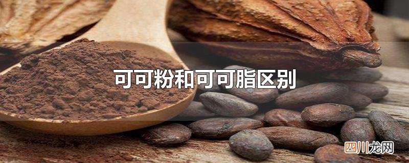 可可粉和可可脂区别
