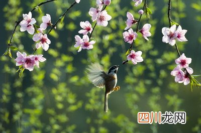 2022年春分节气是结婚的良辰吉日吗？