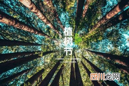 植树节种什么树好呢 植树节适合种啥树