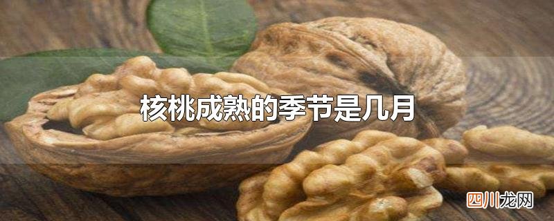 核桃成熟的季节是几月