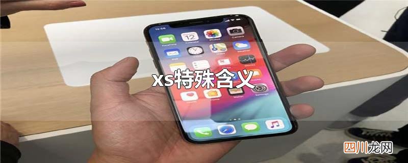 xs特殊含义